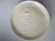 אבקת שום ואבקת בצל