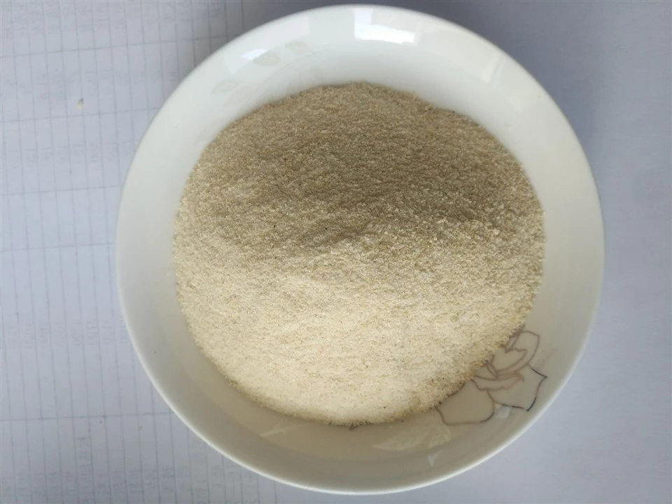granulated white onion